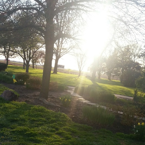 Meet your Posher, Emma - Picture 1 of 1